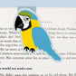 Blue and Gold Macaw Magnetic Bookmark (Jumbo)