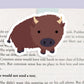 Buffalo Jumbo Magnetic Bookmark - CVJ1092BUFF