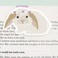 Bunny Jumbo Magnetic Bookmark - CVJ1211BUNN