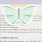 Butterfly Jumbo Magnetic Bookmark - CVJ1156BUTT