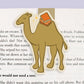 Camel Jumbo Magnetic Bookmark - CVJ1221CAME
