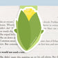 Corn Jumbo Magnetic Bookmark - CVJ1264CORN