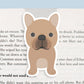 Brown Frenchie Dog Jumbo Magnetic Bookmark - CVJ1162BFRE