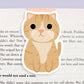 Tabby Cat Jumbo Magnetic Bookmark - CVJ1011OTAB