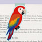 Red Macaw Magnetic Bookmark (Jumbo)