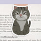 Squinty Grey Cat Jumbo Magnetic Bookmark - CVJ1179SQUI