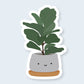 Fiddle Fig Plant Sticker - CVS1391FIGP