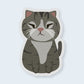 Squinty Grey Cat Sticker - CVS1406SCAT