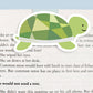 Turtle Jumbo Magnetic Bookmark - CVJ1135TURT