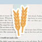Wheat Jumbo Magnetic Bookmark - CVJ1091WHEA