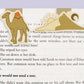 Alchemist (Camel and Sand Dune) Magnetic Bookmarks (Mini 2 pack)