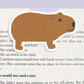 Capybara Magnetic Bookmark (Jumbo)