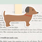 Dachshund Dog Magnetic Bookmark (Jumbo)