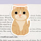 Orange Tabby Cat Magnetic Bookmark (Jumbo)