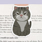 Black British Shorthair Cute Cat Magnetic Bookmark (Jumbo)